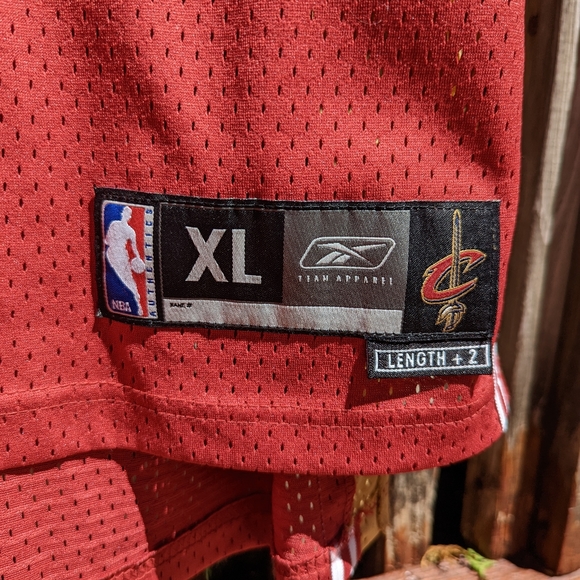 Lebron James Cleveland Cavs Jersey - Picture 5 of 5